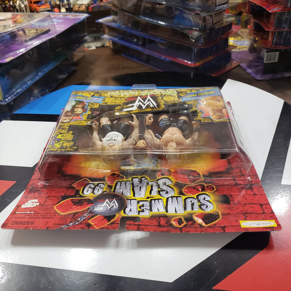 WWF Jakks Summer Slam 99 Hardcore Holly & Al Snow R18053