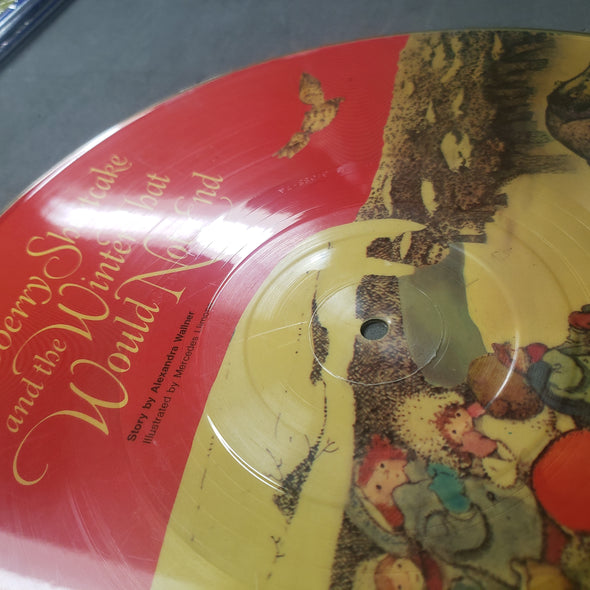 Strawberry Shortcake and the Winter That Would Not End Vinyl Record Pciture Disc