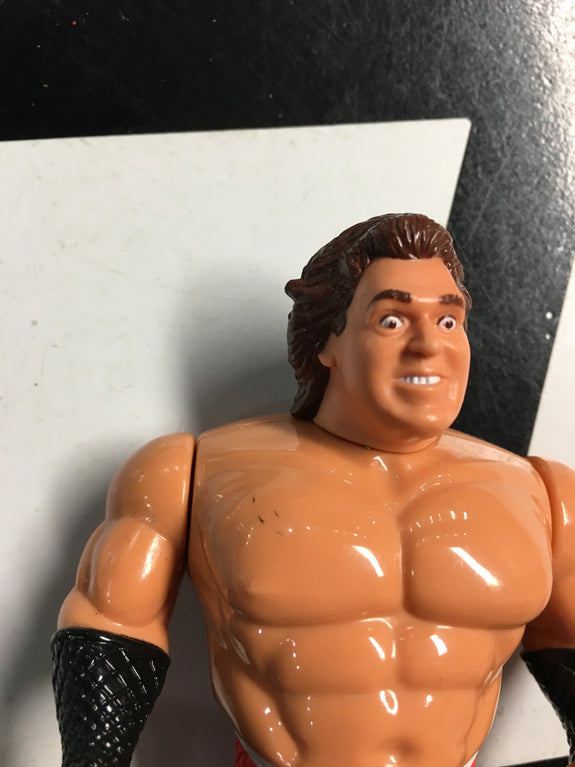 WWF Hasbro Series 3 Brutus "The Barber" Beefcake With Beefcake Flattop! 1992 Wrestling Action Figure R13698